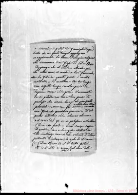 Fotogramma C 5