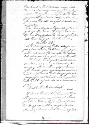Fotogramma E 11