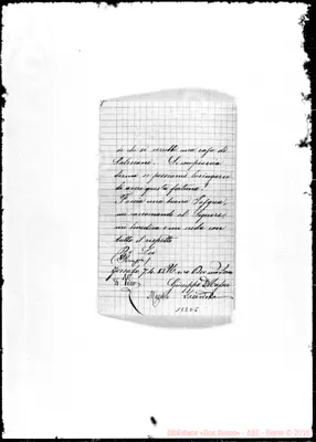 Fotogramma D 5