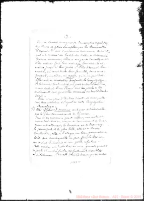 Fotogramma E 10