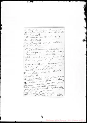Fotogramma D 7