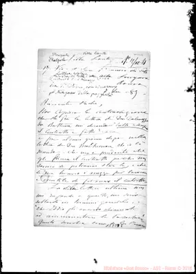 Fotogramma D 8