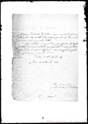 Fotogramma C 1