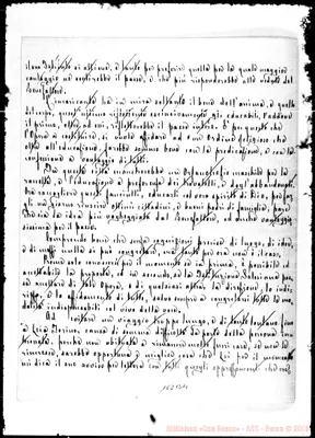 Fotogramma B 11