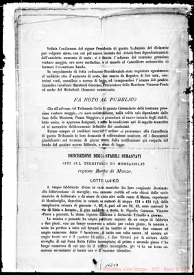 Fotogramma C 7