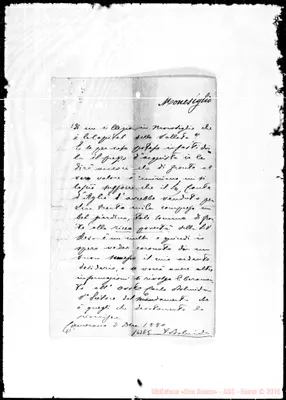 Fotogramma E 5