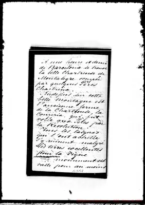 Fotogramma B 8