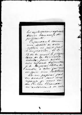 Fotogramma D 3