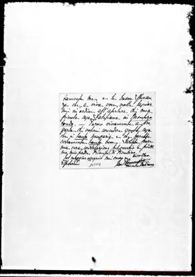 Fotogramma B 8