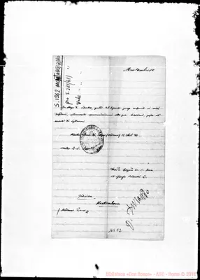 Fotogramma C 2