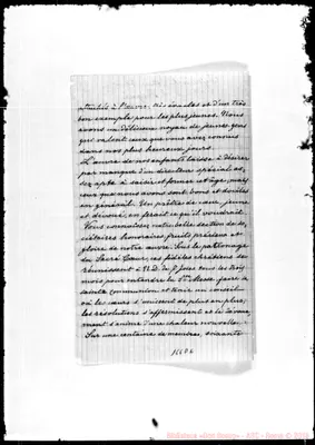 Fotogramma D 6