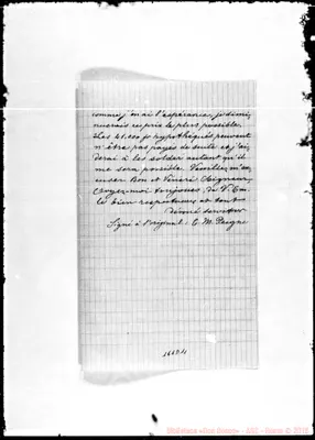 Fotogramma D 11