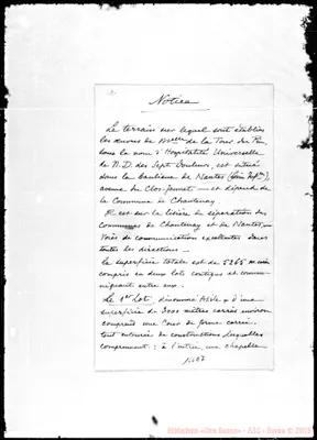 Fotogramma E 7