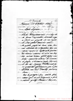 Fotogramma D 11