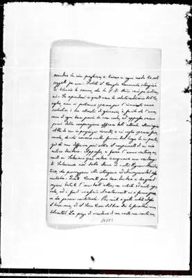 Fotogramma E 5