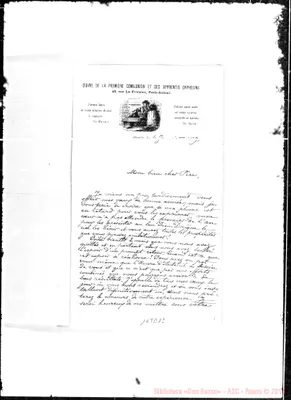 Fotogramma D 12