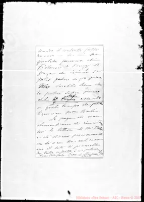 Fotogramma C 11