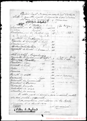 Fotogramma C 3