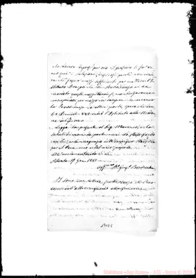 Fotogramma D 5