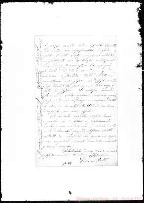 Fotogramma E 8