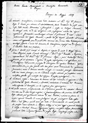 Fotogramma D 11
