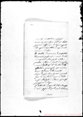 Fotogramma B 3