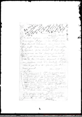 Fotogramma D 12