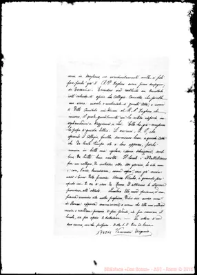 Fotogramma D 11