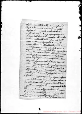 Fotogramma C 11