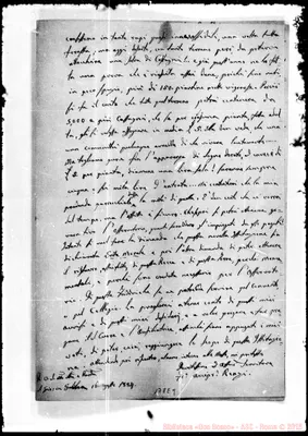 Fotogramma E 9