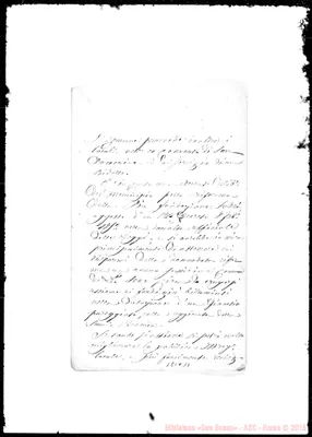 Fotogramma C 11