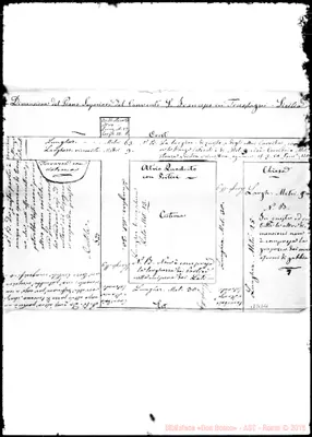 Fotogramma B 11