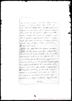Fotogramma D 11