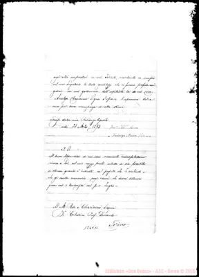 Fotogramma C 11