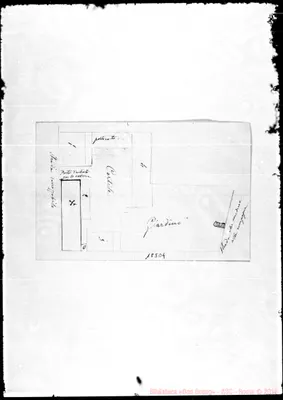 Fotogramma D 4