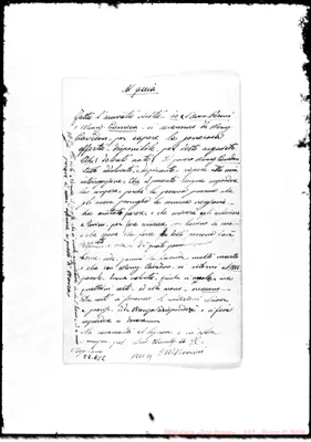 Fotogramma C 11