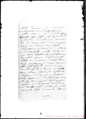 Fotogramma D 12