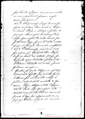 Fotogramma C 11