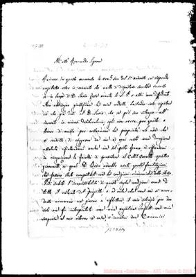Fotogramma D 11