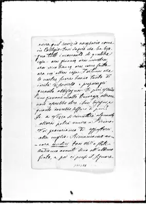 Fotogramma D 11