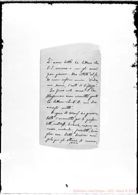 Fotogramma D 10