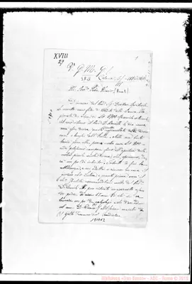 Fotogramma D 12