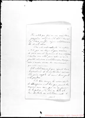 Fotogramma C 5