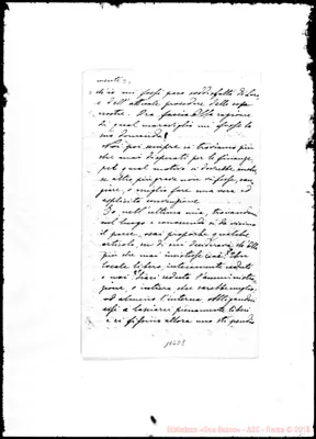 Fotogramma D 8