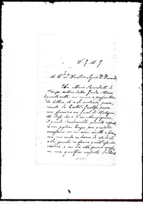 Fotogramma D 11