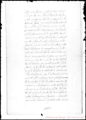 Fotogramma C 6