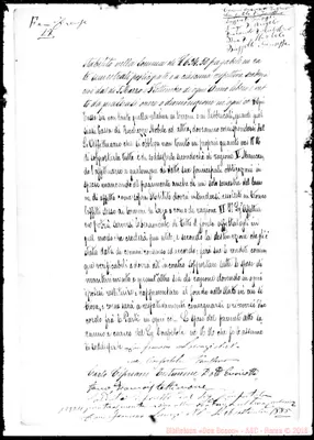 Fotogramma D 11