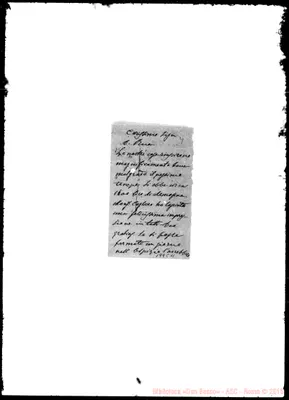 Fotogramma C 11
