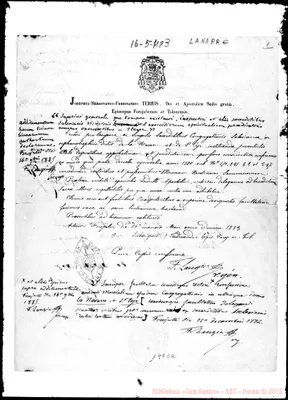 Fotogramma D 2