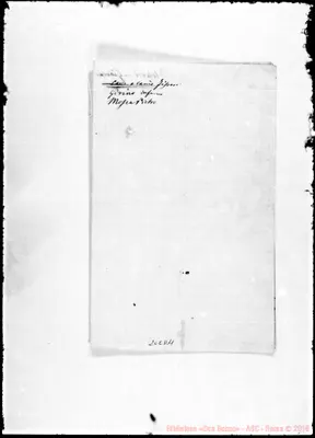 Fotogramma D 11
